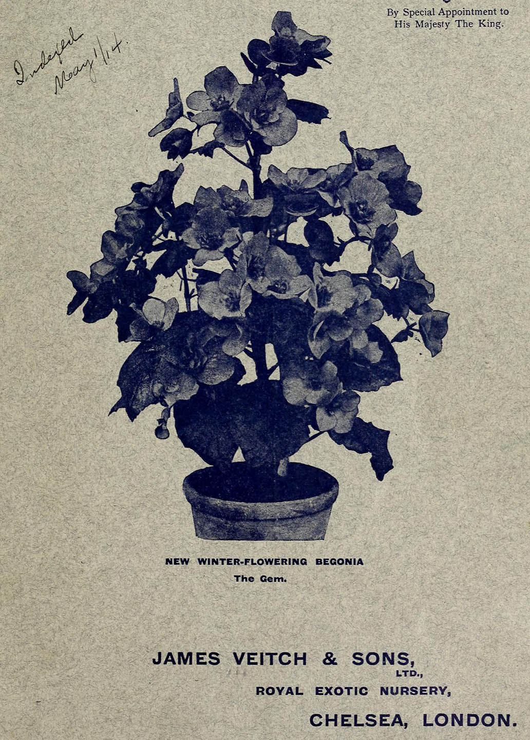 B. ‘The Gem’